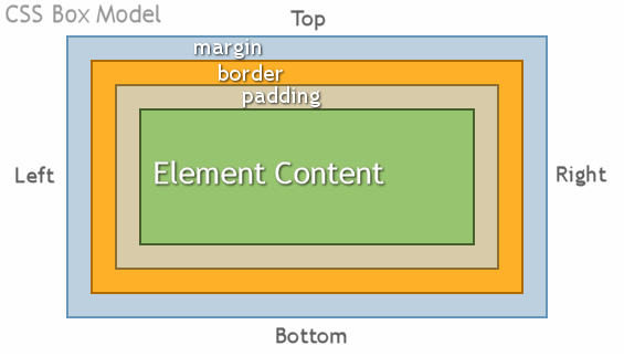 CSS Box Model